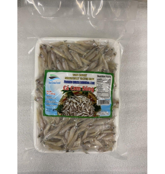CÁ CƠM TRẮNG