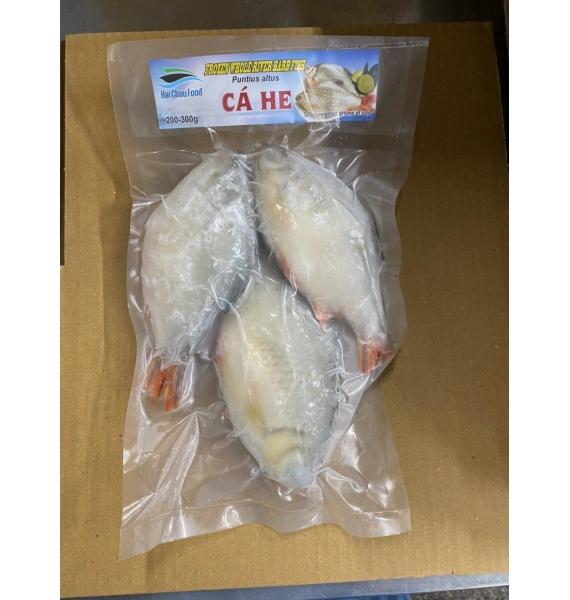 CÁ HE MUỐI LẠT