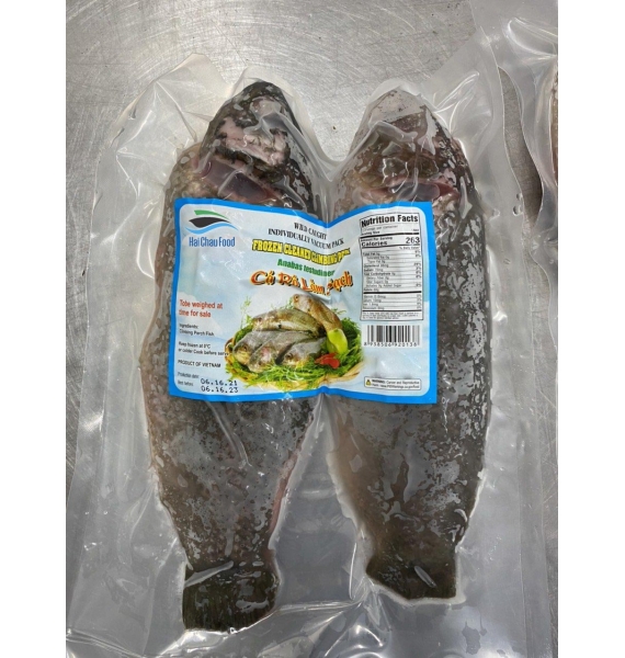 CÁ RÔ ĐỒNG NGUYÊN CON