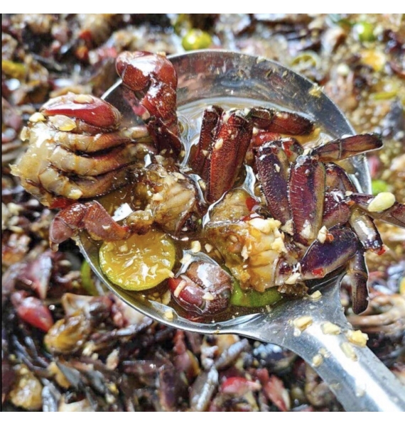 BA KHÍA TRỘN