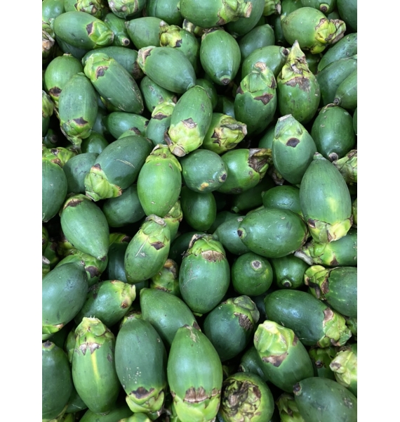 CAU TƯƠI
