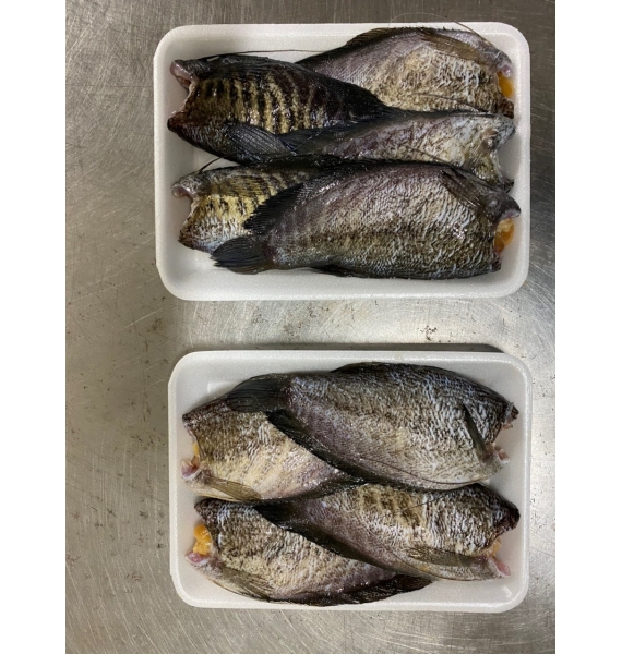 CÁ SẶC LÀM SẠCH