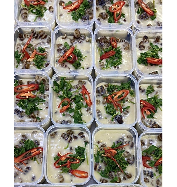 ỐC LEN XÀO DỪA