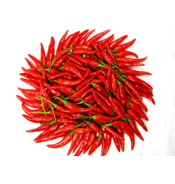 ỚT