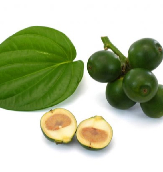 CAU TƯƠI